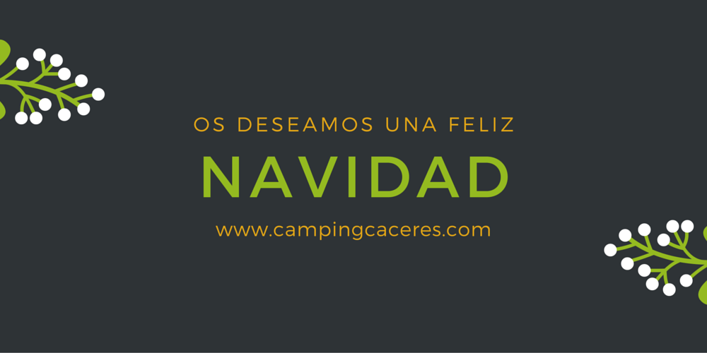 https://www.campingcaceres.com/wp-content/uploads/2015/12/camping-caceres-twitter-navidad.png